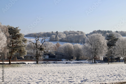 winter landscape with trees © Henning Wiekhorst
