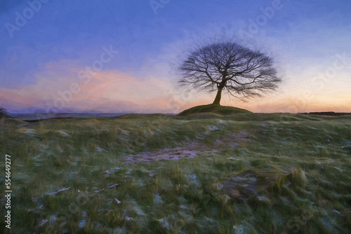Digital oil painting of a lone tree on Grindon Moor, Staffordshire.