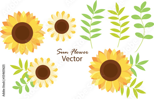 set of sunflowers isolated