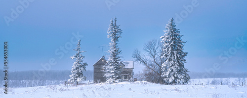 A Winters Wonderland with Heavy Snow and Frost on trees in rural mountain scenes