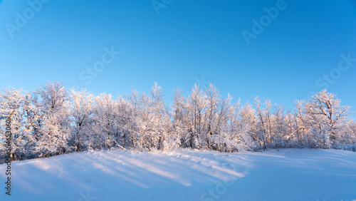 A Winters Wonderland with Heavy Snow and Frost on trees in rural mountain scenes