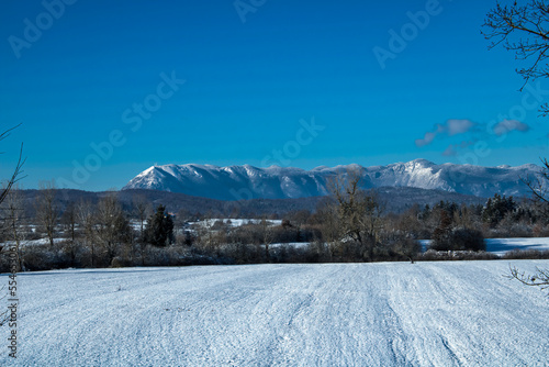 winter landscape with the Nanos plateau in the background covered with snow