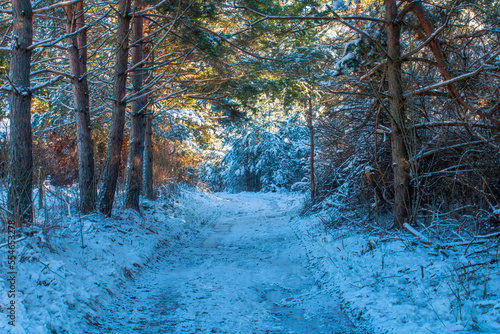 Empty snow covered road in winter landscape