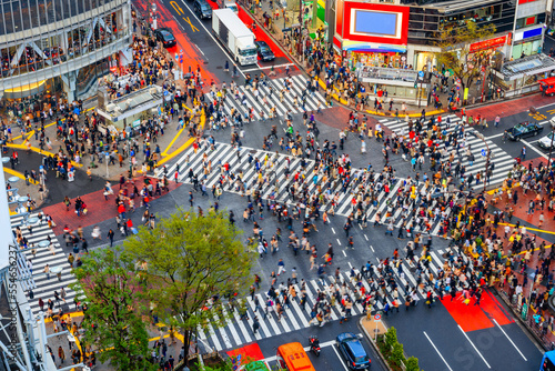 Slika na platnu Shibuya, Tokyo, Japan crosswalk and cityscape.