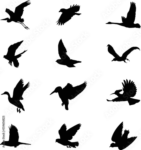 Flying birds silhouettes collection for creating artwork compositions