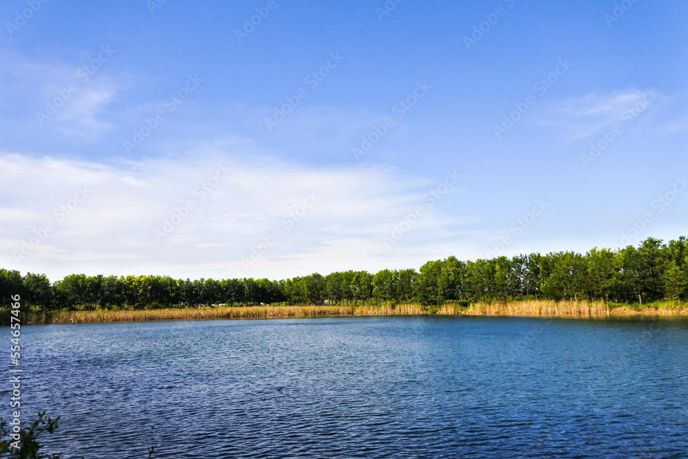 calm lake in the middle of a forest with a clear blue sky