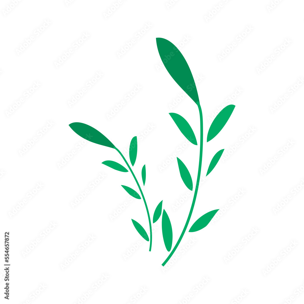 green leaves isolated on white green leaves isolated on white