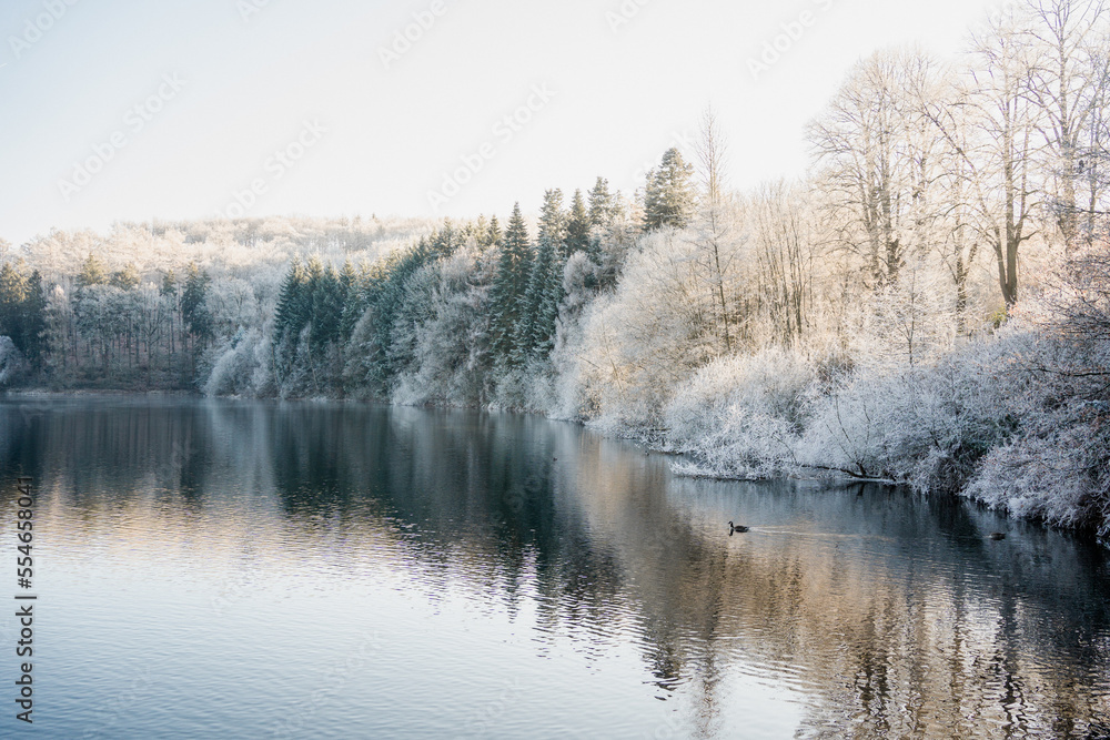 lake with frozen trees around in Germany Winter