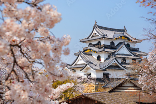 Hikone, Japan at Hikone Castle in Spring
