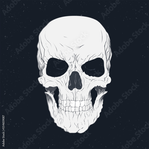 Skull of a human hand-drawn