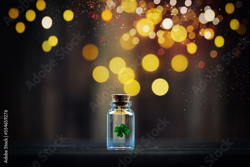 Photography Kleeblatt Silvester