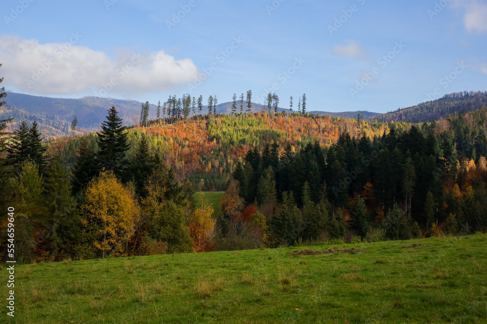 Jesień w górach, kolory jesieni w Beskidach, góry we Wiśle - obrazy, fototapety, plakaty 