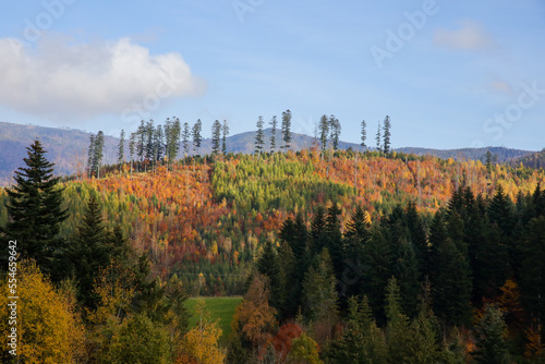 Jesień w górach, kolory jesieni w Beskidach, góry we Wiśle