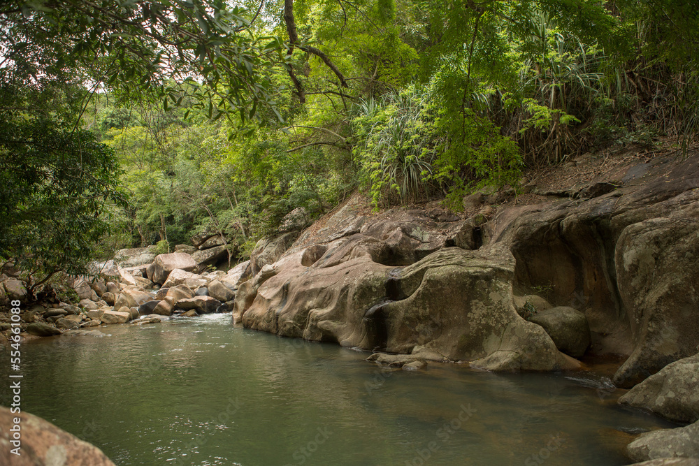 Fototapeta premium tourist route through the jungle in Vietnam