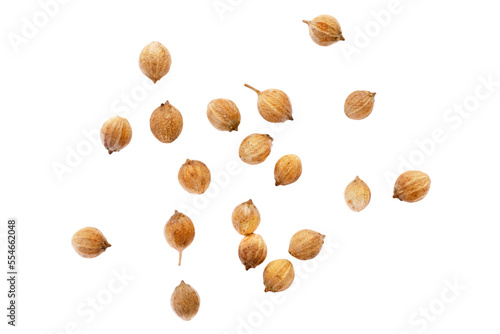 Coriander seeds isolated on white background, top view. Dry coriander seeds isolated on white background, top view. Spicy coriander seeds isolated on white background, top view.