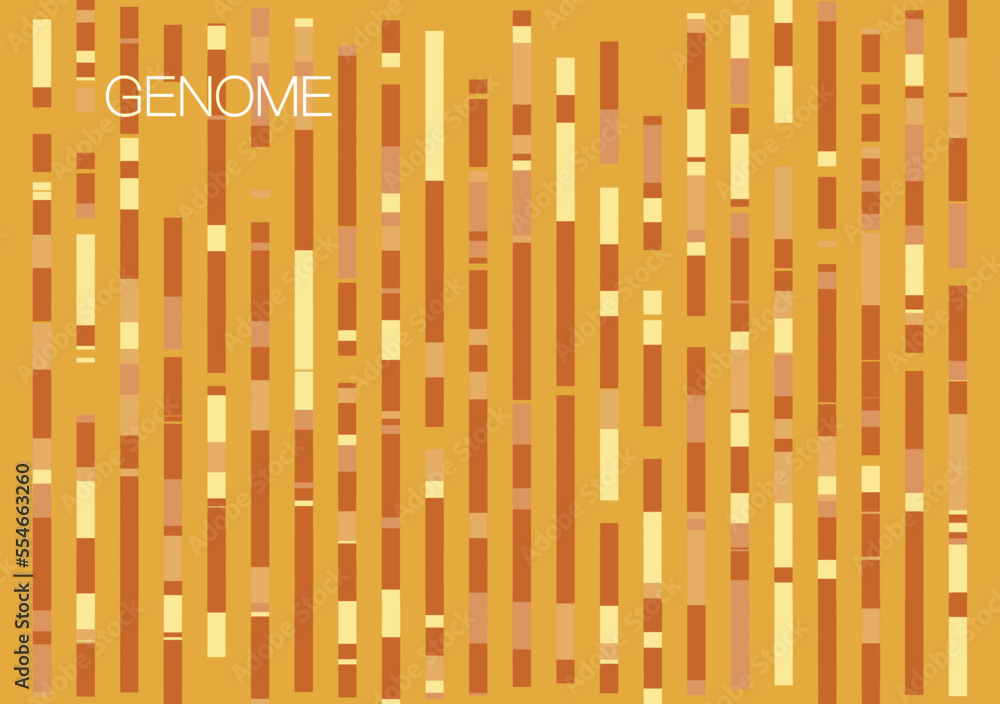 DNA genomic test, genome map. DNA genomic test, genome map.