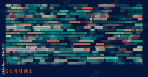 DNA genomic test, genome map.