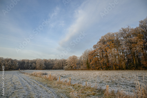 Frost im Münsterland