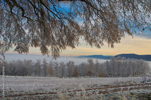 Wallpaper Mural Winter auf dem Schutterlindenberg in Lahr im Schwarzwald Torontodigital.ca