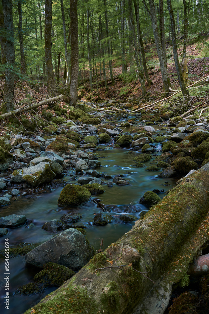 Der Elsbach im NSG Gangolfsberg in der Kernzone des Biosphärenreservat Rhön, Bayerischen Rhön, Landkreis Rhön-Grabfeld, Unterfranken, Bayern, Deutschland Der Elsbach im NSG Gangolfsberg in der Kernzone des Biosphärenreservat Rhön, Bayerischen Rhön, Landkreis Rhön-Grabfeld, Unterfranken, Bayern, Deutschland