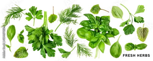 Panel kuchenny z motywem Fresh summer herbs set. PNG with transparent background. Flat lay. Without shadow.