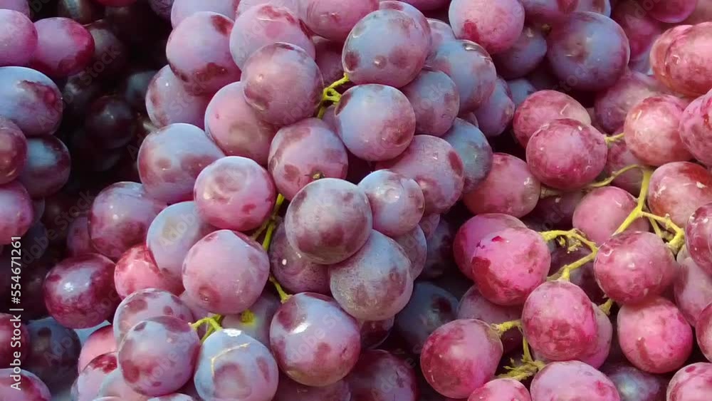 fresh red grape fruit lined up displaying fresh red grape fruit lined up displaying