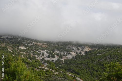 mountain peak covered in fog