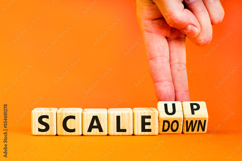 Scale Up Or Down Symbol Concept Words Scale Up Scale Down Wooden Cubes scale-up-or-down-symbol-concept-words-scale-up-scale-down-wooden-cubes