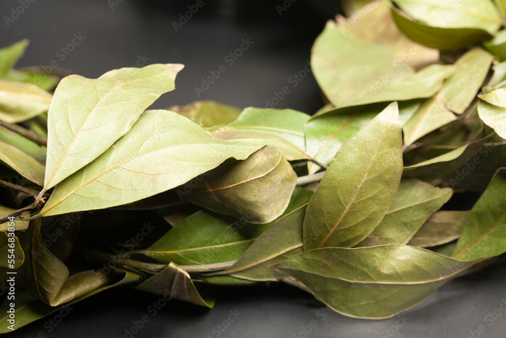 Dry bay leaves on black background. Dried laurel leaf seasoning Dry bay leaves on black background. Dried laurel leaf seasoning