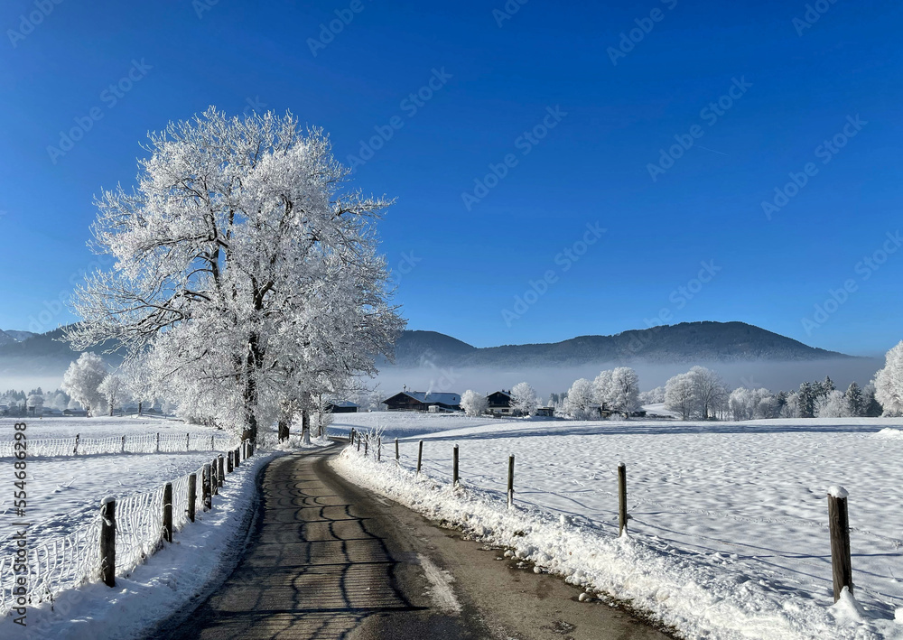 Straße an einem eisig kalten Wintertag mit reifbedeckten Bäumen und strahlend blauem Himmel im Leitzachtal bei Fischbachau, Bayern, Deutschland - obrazy, fototapety, plakaty 