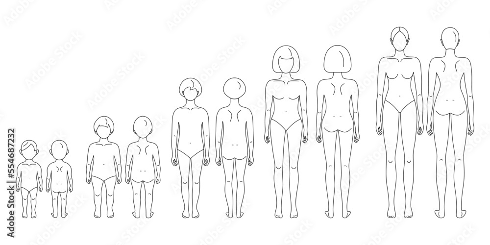 All ages female line drawing croqui set of templates for flat fashion sketches and cads. Vector mannequin design. All ages female line drawing croqui set of templates for flat fashion sketches and cads. Vector mannequin design.