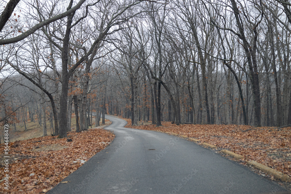 Empty road through winter forest with orange foliage Empty road through winter forest with orange foliage