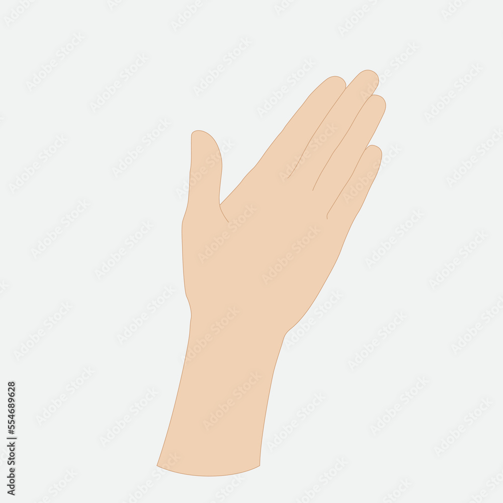 Vector illustration of a woman's palm, light skin tone Vector illustration of a woman's palm, light skin tone