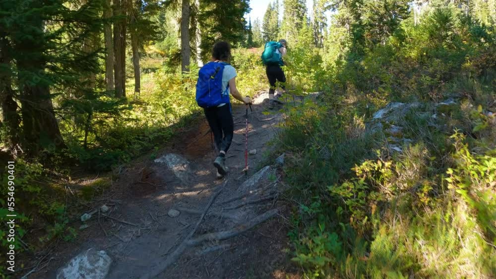 Adventurous people hiking in Canadian Mountain Landscape. Sunny Fall Season. Brandywine Meadows near Whistler and Squamish, British Columbia, Canada. Adventure Travel. Slow Motion Cinematic Adventurous people hiking in Canadian Mountain Landscape. Sunny Fall Season. Brandywine Meadows near Whistler and Squamish, British Columbia, Canada. Adventure Travel. Slow Motion Cinematic