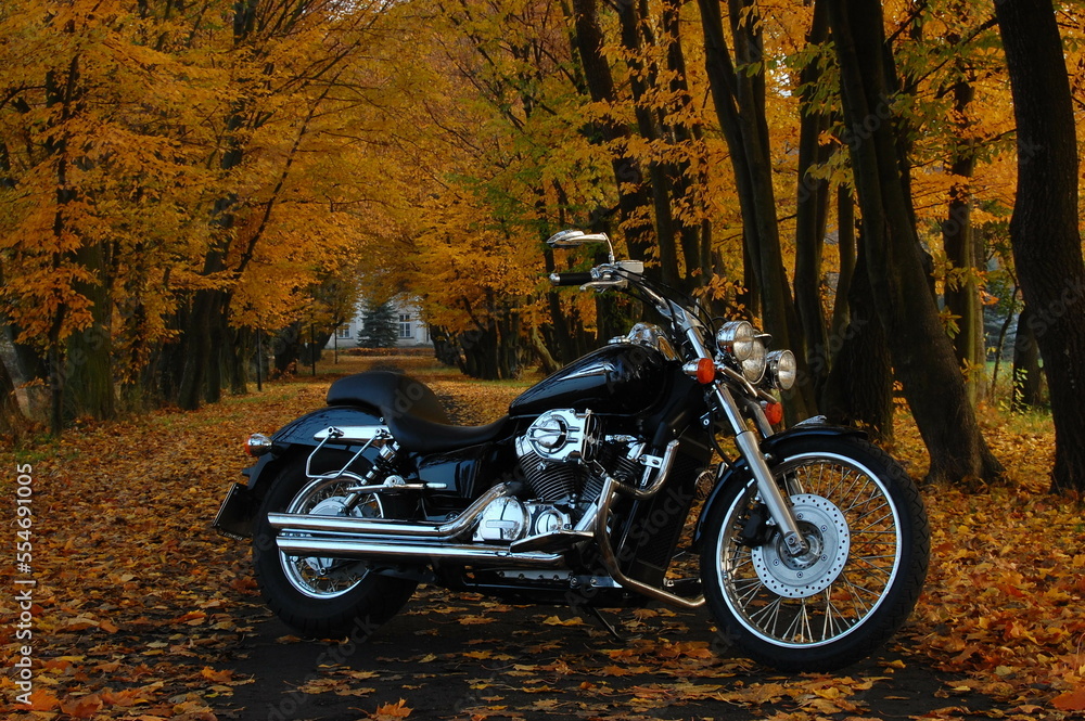 Motocykl, jesień, krajobraz, złota polska jesień, pojazd, jednoślad,  - obrazy, fototapety, plakaty 