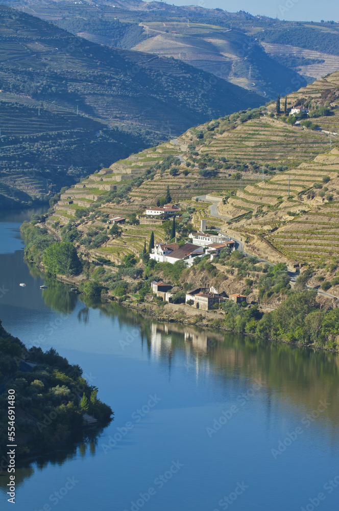 Douro river and Porto Wine vineyards, Alto Douro, Tras-os-Montes, Portugal, Unesco World Heritage site