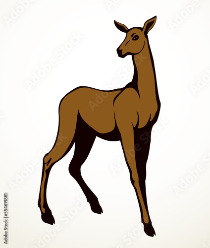 Beautiful female deer. Vector drawing