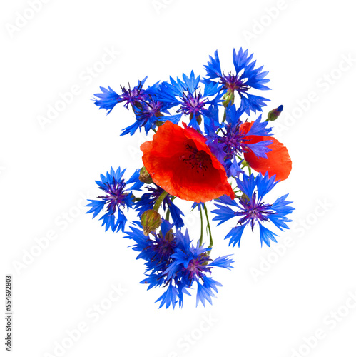 poppy and cornflower bouquet photo