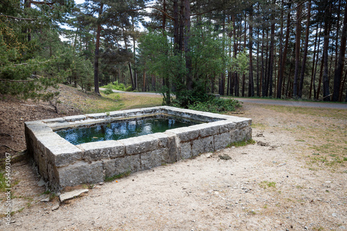 Camino de Madrid - stone water tank close to Fuente de la Reina after Puerto de la Fuenfría, Montes de Valsain, Segovia, Spain photo