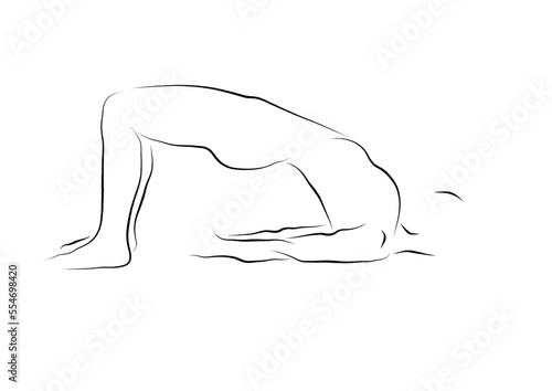 beautiful yoga line drawing of the bridge pose . sports and pastime .