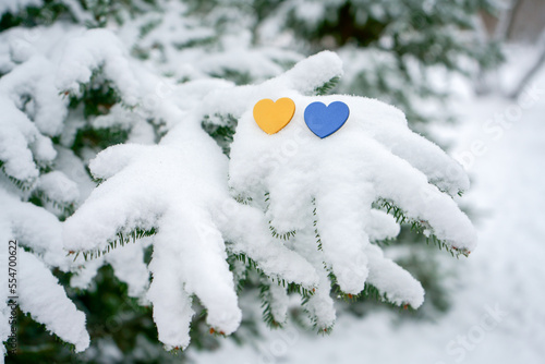 Yellow and blue hurts on a snowy pine tree branch