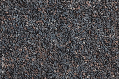 Realistic vector illustration of black sesame seeds background. Healthy food concept. 