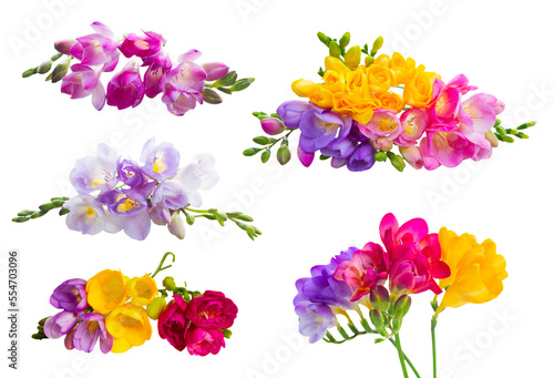 Fotografie Fresh freesia flowers