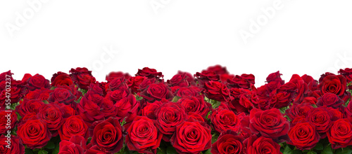 bouquet of dark  red roses  close up