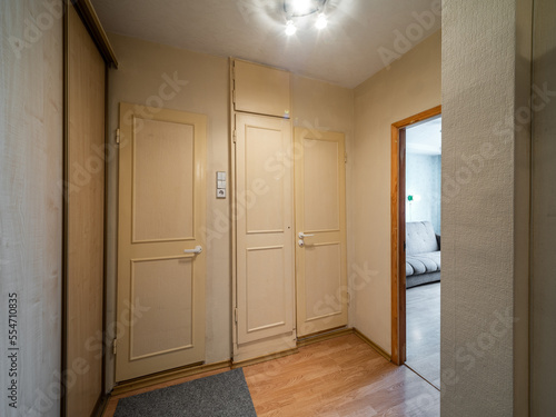 Modern interior of hall in apartment. Closed white doors.