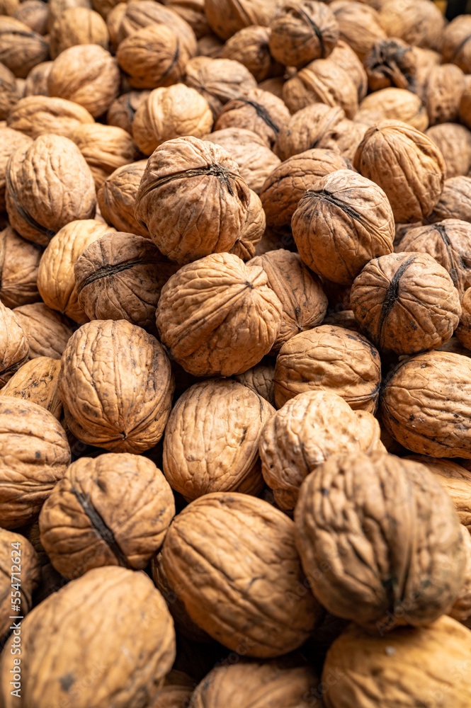 Walnuts, view of a large number of nuts, selective focus. Walnuts, view of a large number of nuts, selective focus.