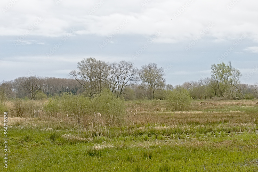 Cloudy marsh landscape in spring in Bourgoyen nature reserve, Ghent, Flanders, Belgium Cloudy marsh landscape in spring in Bourgoyen nature reserve, Ghent, Flanders, Belgium