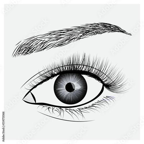 female eye with long eyelashes