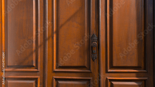 Big wood door texture with old handle