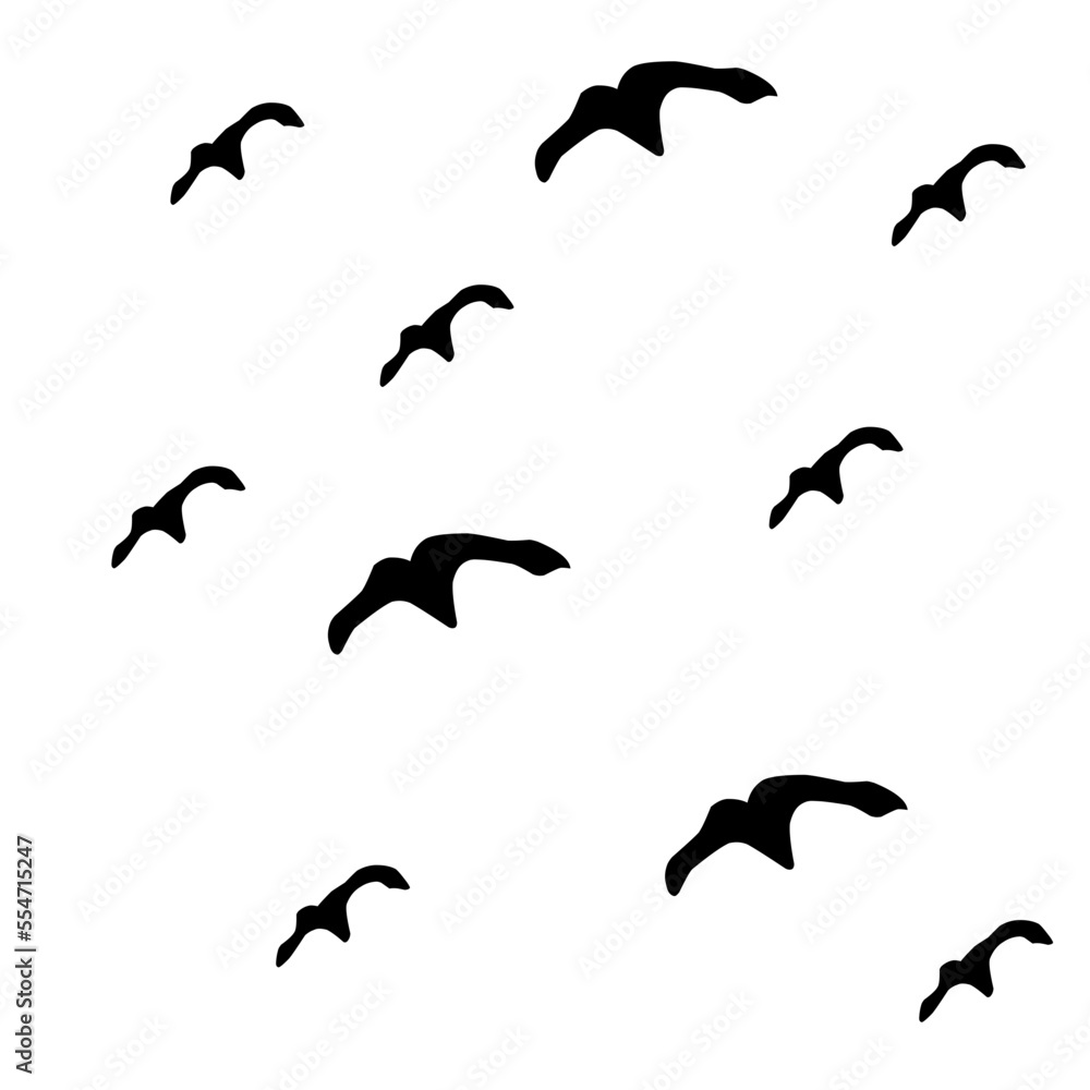 Obraz premium silhouettes of flying group birds